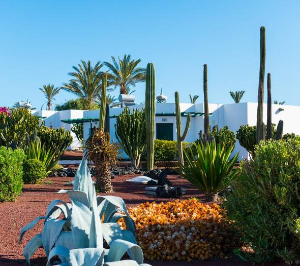 Jardins Hôtel HL Club Playa Blanca**** Lanzarote