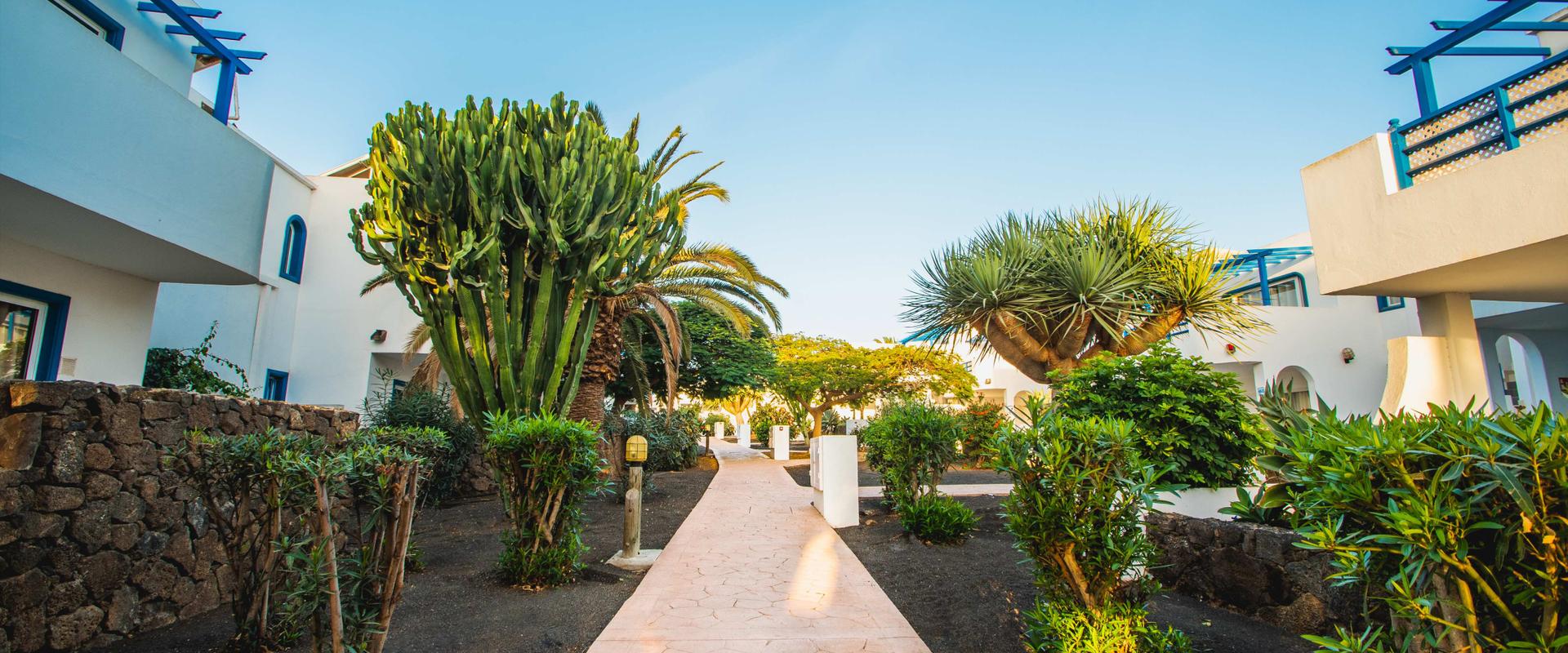 Hôtels à Lanzarote et Gran Canaria Hoteles López Hôtels à Lanzarote et Gran Canaria Hoteles López