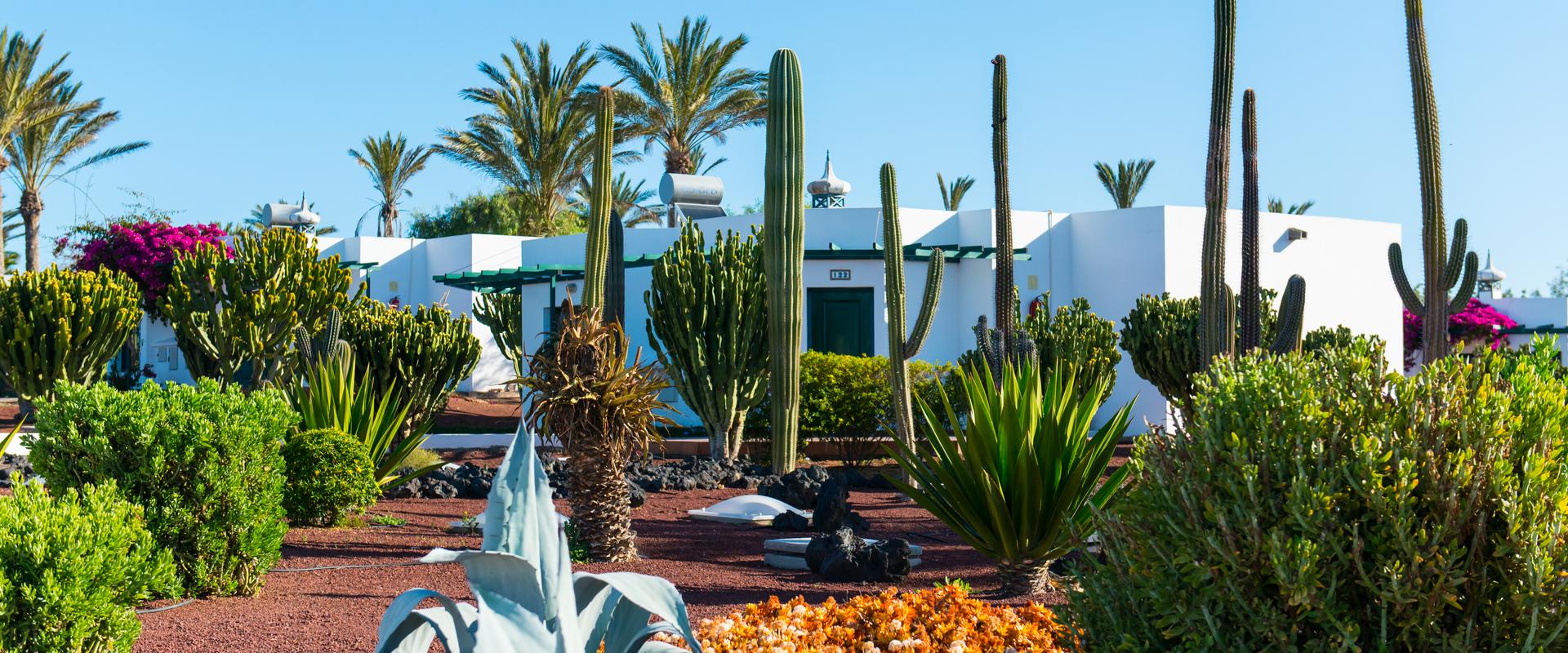 Hôtel HL Club Playa Blanca**** Lanzarote Hôtel HL Club Playa Blanca**** Lanzarote